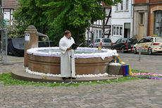 Bluemteppich auf dem Naumburegr Marktplatz (Foto: Karl-Franz Thiede)